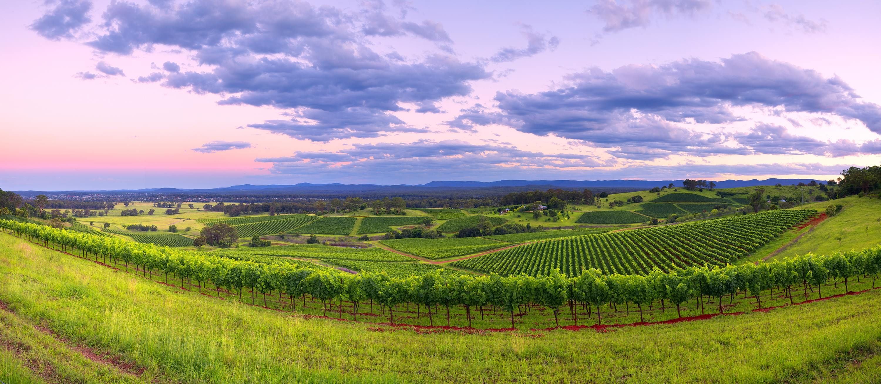 Hunter Valley Vineyard Group Bus Trips Image -593b1eaf3498e